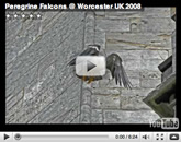 YouTube: Ringing 2008 image